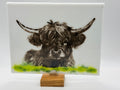 Highland Cow (Cute)